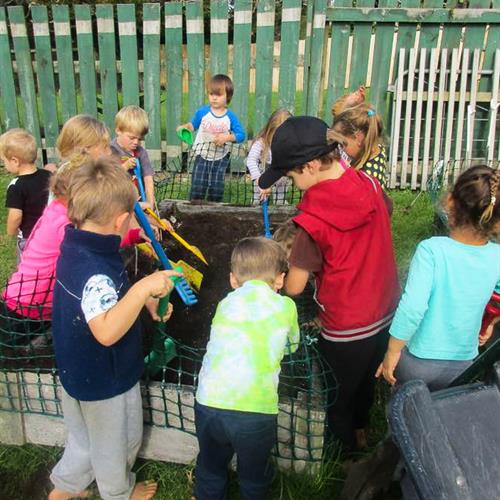 Koru Kindy Wellsford