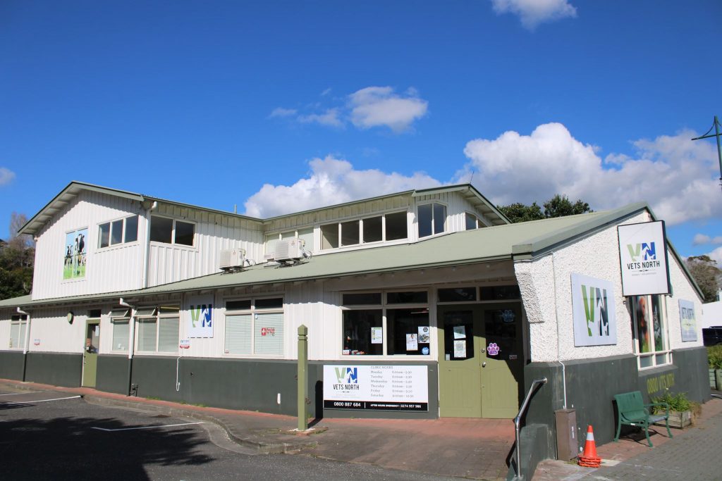 Vets North – Helensville