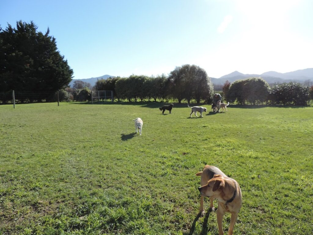 Vin View Pet Lodge