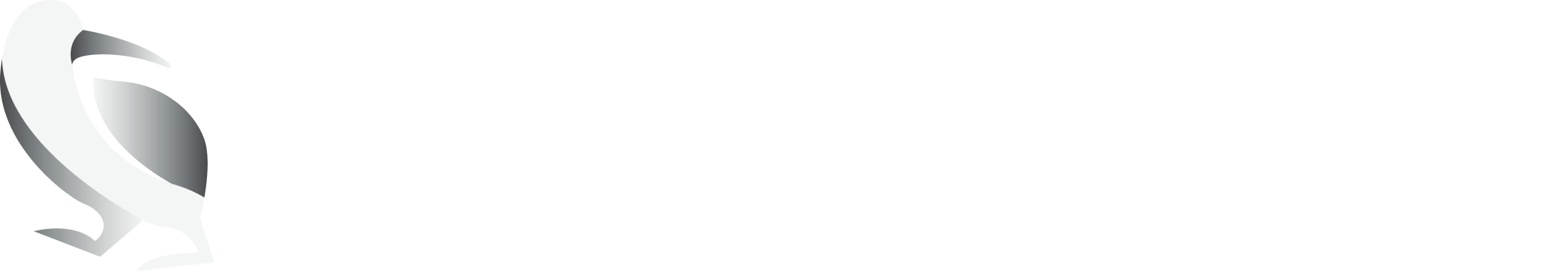 Kiwibase
