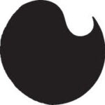 Cameo Cafe Syrups